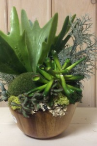 $40. WK-81. Teak bowl with succulents