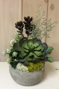 $40. WK-AM.  Cement  pot with succulents