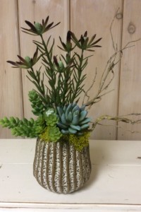 $38 WK-AK. Ceramic and clay striped pot with faux succulents