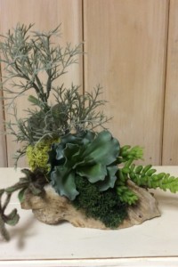 $38.  WK-94B.  Faux succulents in white washed driftwood