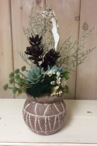 $55 WK-Df.  Aztec clay pot with succulents