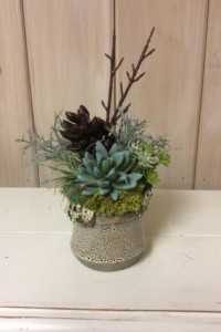 $35. WK-453B  Spotted ceramic pot with succulents