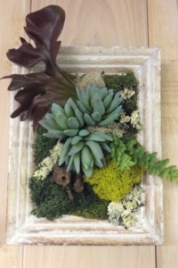 $42 WK-406.  White washed hanging wood frame with faux succulents